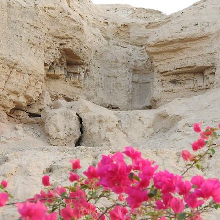 Dead Sea Dawn Villa Neot HaKikar Kültér fotó
