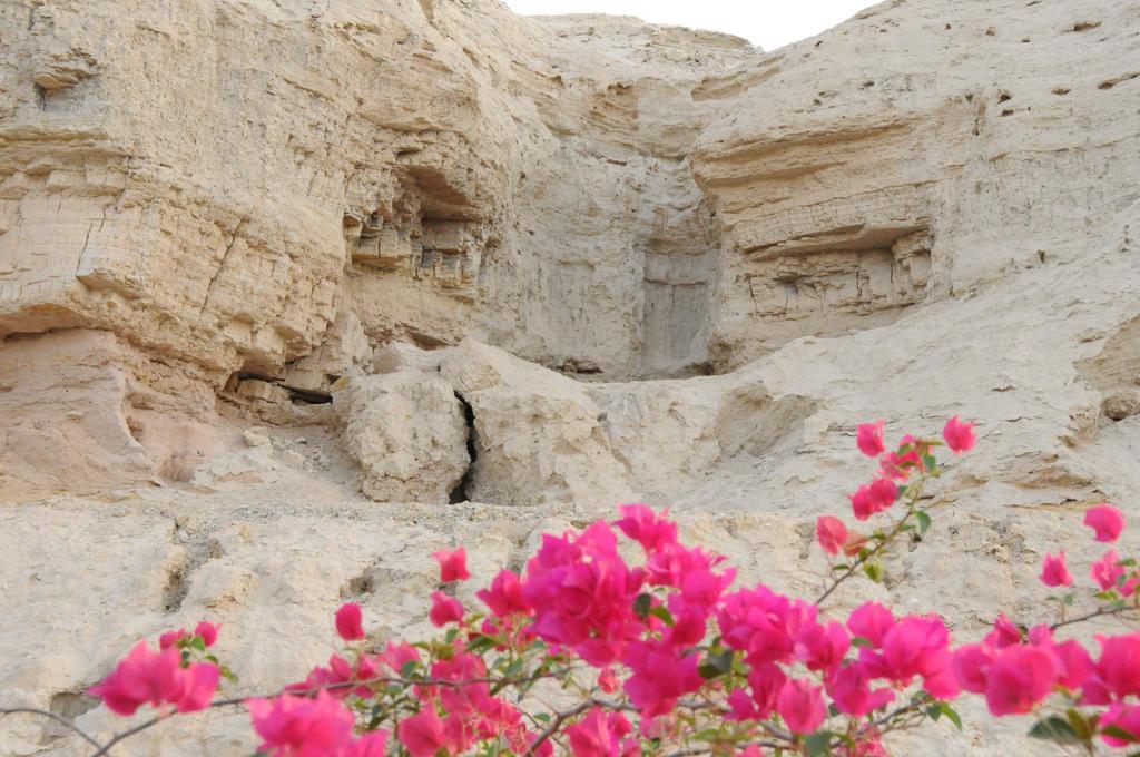 Dead Sea Dawn Villa Neot HaKikar Kültér fotó